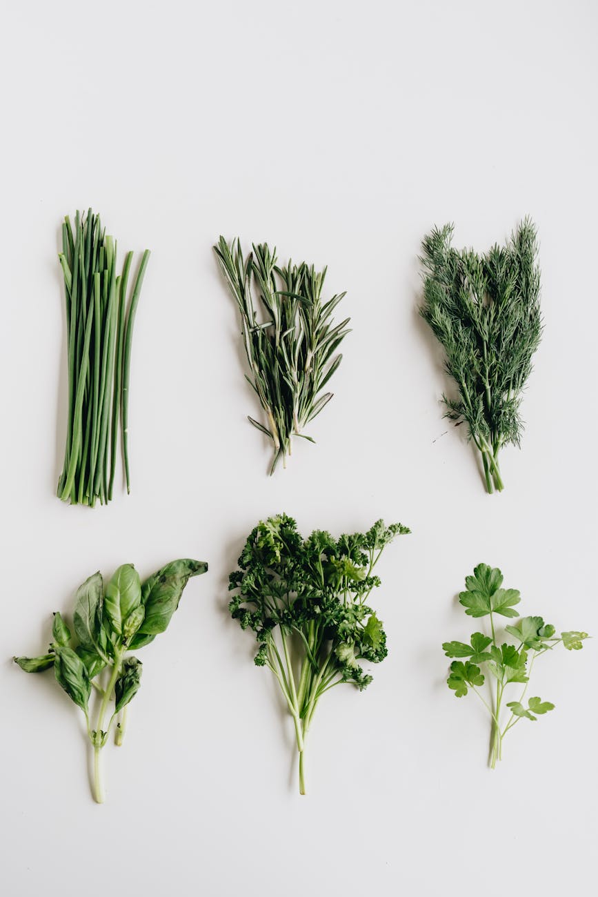 10 Herbs You Might Want to Incorporate Into Your Daily&nbsp;Routine